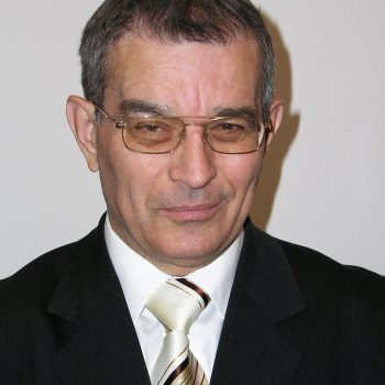 prof. dr hab.  Julian Auleytner