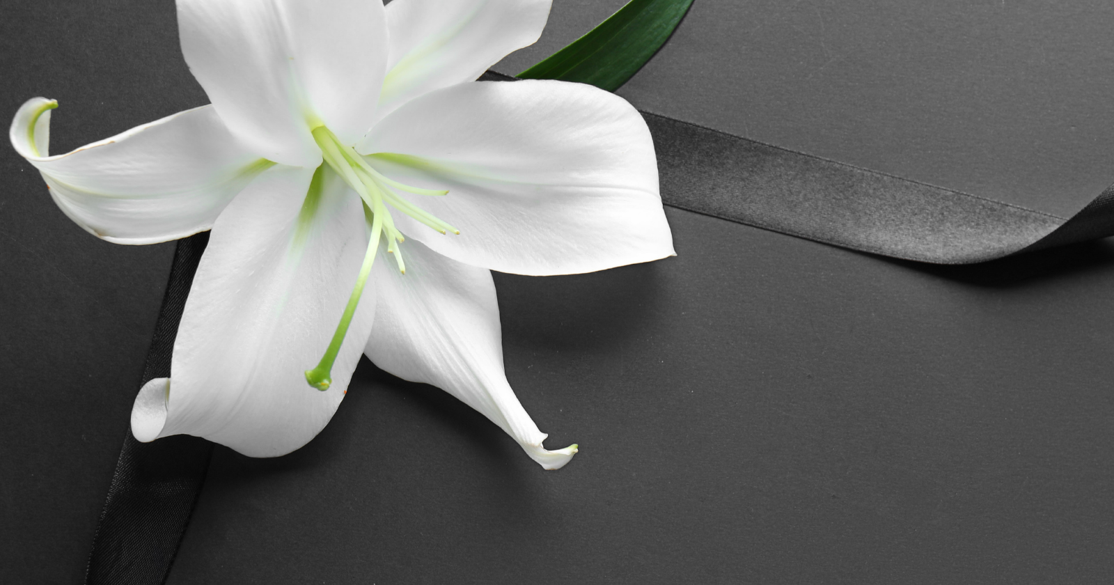 Zmarł  prof. dr hab. Robert Rauze Rauziński